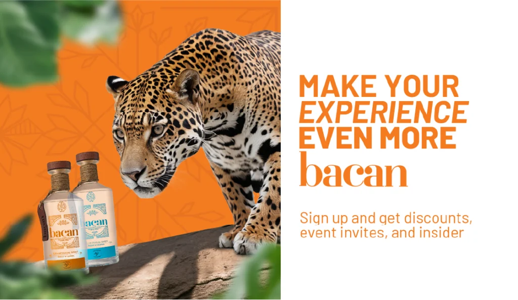 Pop-up invitation to enhance your Bacan Guaro experience with exclusive offers and tips